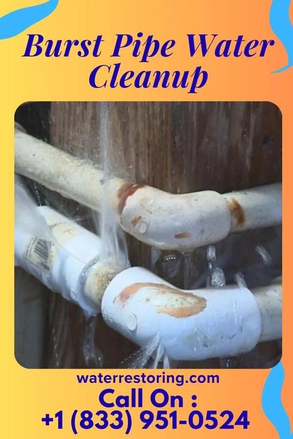 Burst Pipe Water Cleanup in Big Lagoon, CA